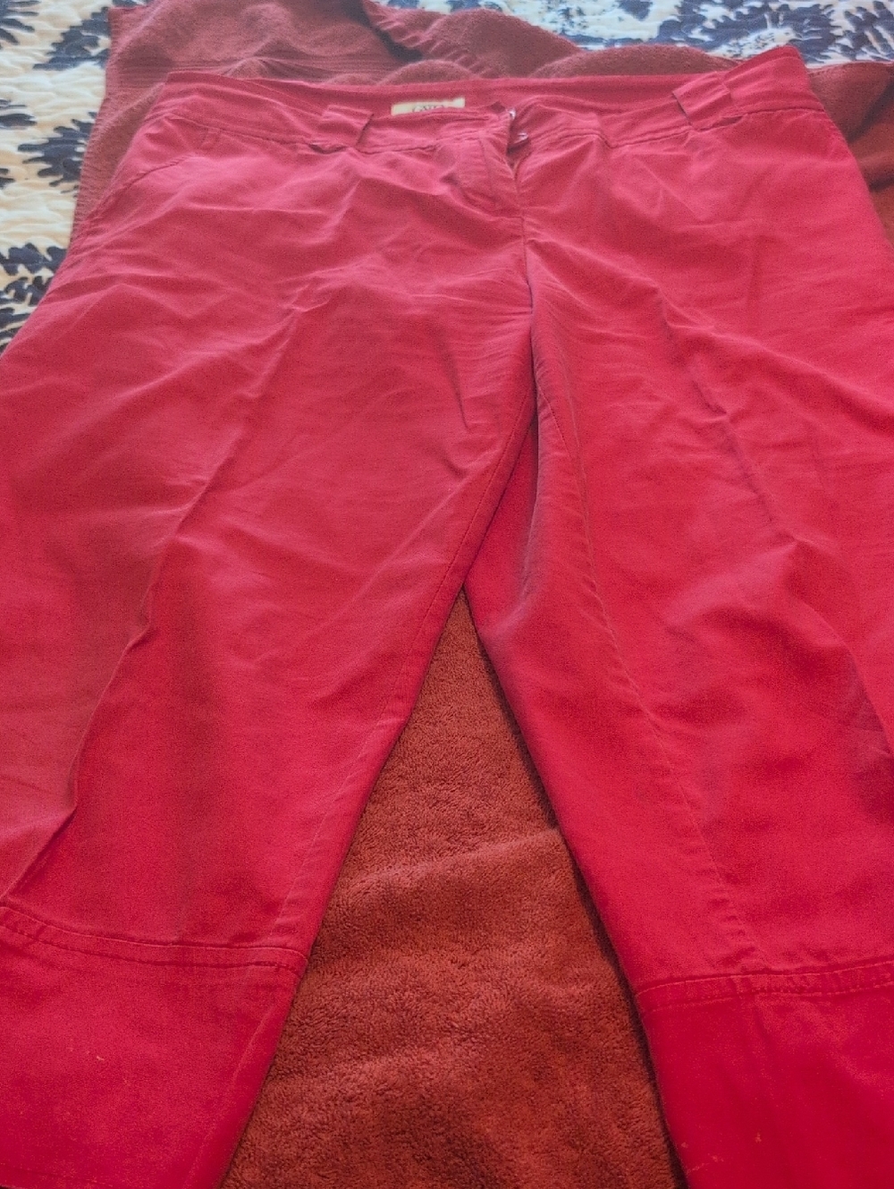 Cato Fuchsia Women's Pants